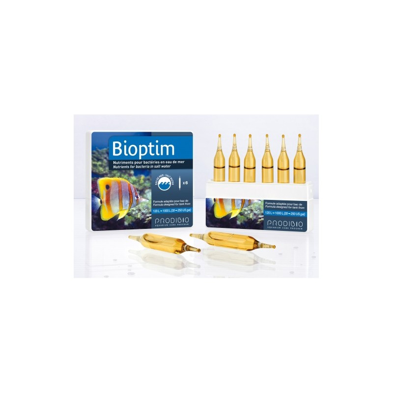 PRODIBIO BIOPTIM 12 Ampullen