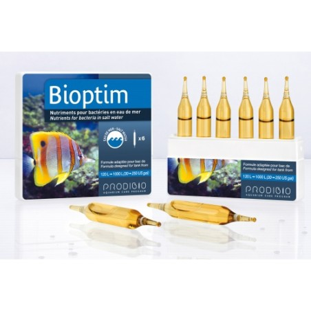 PRODIBIO BIOPTIM 12 Ampullen