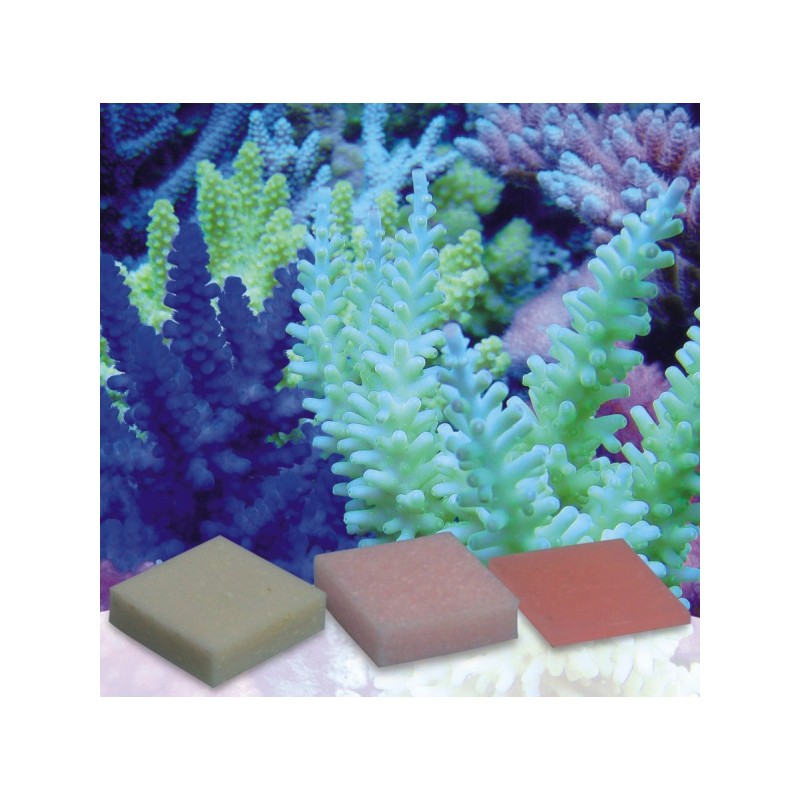 Korallen-Zucht Automatic Elements Eisen Konzentrat 5 Stück
