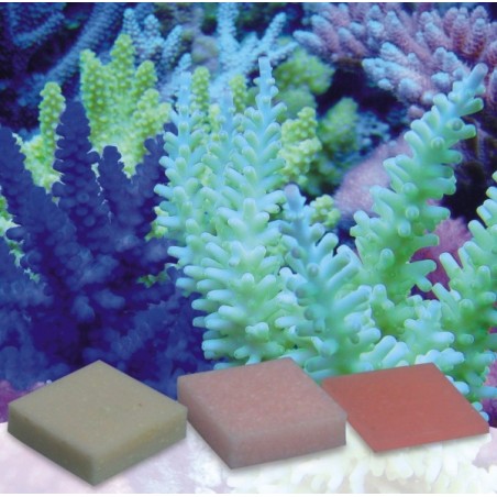 Korallen-Zucht Automatic Elements Eisen Konzentrat 10 Stück