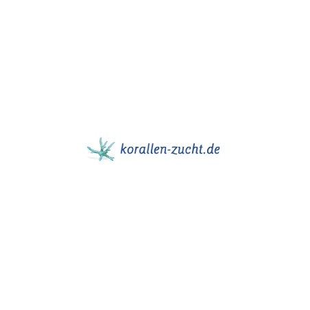 Korallen-Zucht Pohl's K-Balance STRONG 500ml