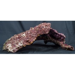 Real Reef Rock Shelf Rock Mix, Preis pro Kilogramm