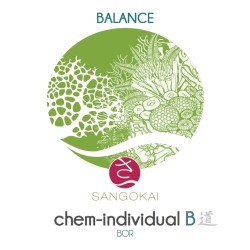 Sangokai sango chem-individual B 1000 ml