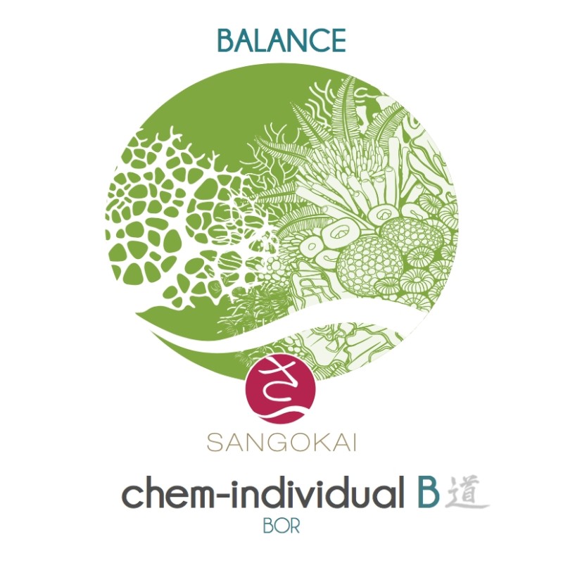 Sangokai  sango chem-individual B 1000 ml