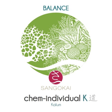 Sangokai sango chem-individual K 1000 ml