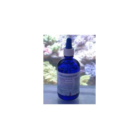 Korallen-Zucht Kaliumjodid-Fluor Konzentrat 50ml