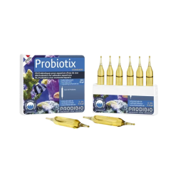 Prodibio Probiotix 30 Ampullen