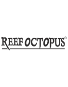 ReefOctopus